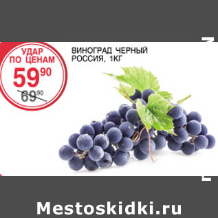 Акция - Виноград черный Россия