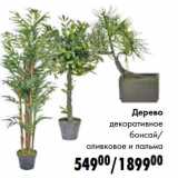 Магазин:Prisma,Скидка:Дерево декоративное бонсай/оливковое и пальма