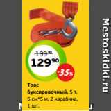 Монетка Акции - Трос
буксировочный, 5 т,
5 см*5 м, 2 карабина,
1 шт.