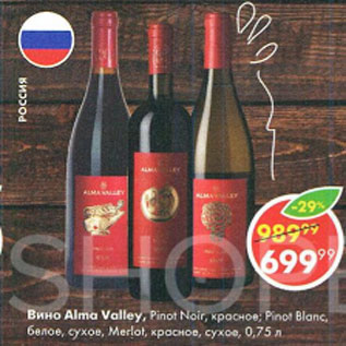 Акция - Вино Alma Valley, Pinat Noir