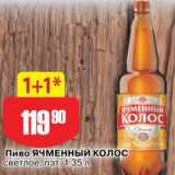 Авоська Акции - Пиво Ячменный колос