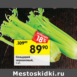 Акция - Сельдерей черешковый