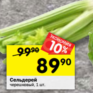 Акция - Сельдерей черешковый, 1 шт.