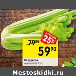 Акция - Сельдерей черешковый