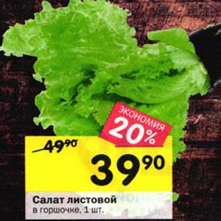 Акция - Салат листовой