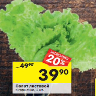 Акция - Салат листовой
