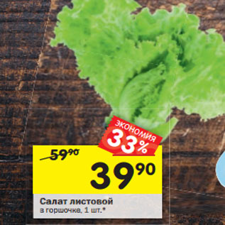 Акция - Салат листовой