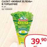 Магазин:Selgros,Скидка:Салат «Живая зелень» в горшочке 