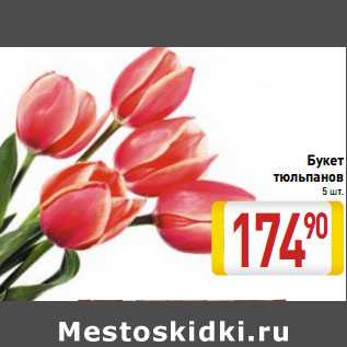 Акция - Букет тюльпанов