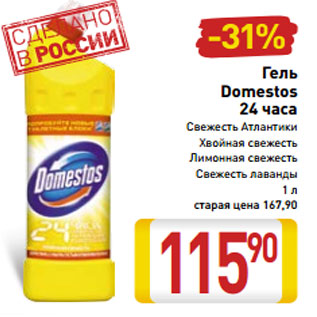 Акция - Гель Domestos 24 часа