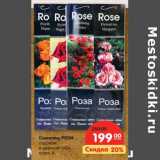 Магазин:Карусель,Скидка:Саженец Роза садовая в цветной тубе класс А