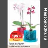Магазин:Карусель,Скидка:Корона для орхидеи с поддоном, d 130 мм, h 120 мм