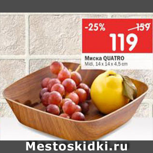 Акция - Миска Quatro