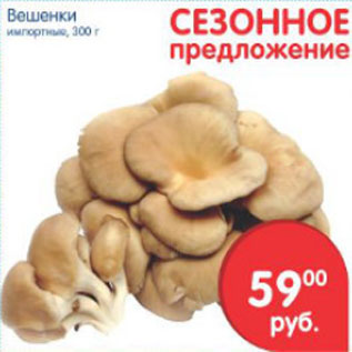 Акция - ВЕШЕНКИ