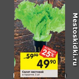 Акция - Салат листовой