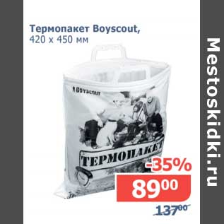 Акция - Термопакет Boyscaut, 420 х 450 мм