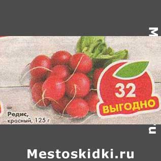 Акция - Редис красный