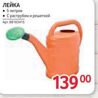 Акция - ЛЕЙКА . 5 литров