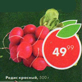 Акция - Редис красный