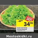 Магазин:Перекрёсток,Скидка:Салат листовой
отечественный
в горшочке,
