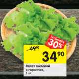 Магазин:Перекрёсток,Скидка:Салат листовой
в горшочке,