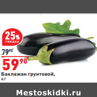 Акция - Баклажан грунтовой,