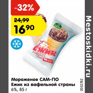 Акция - Мороженое Сам-По Ежик из вафельной страны 6%