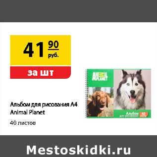 Акция - Альбом для рисования А4 Animal Planet