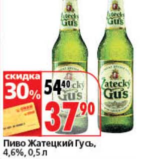 Акция - Пиво Жатецкий Гусь, 4,6%