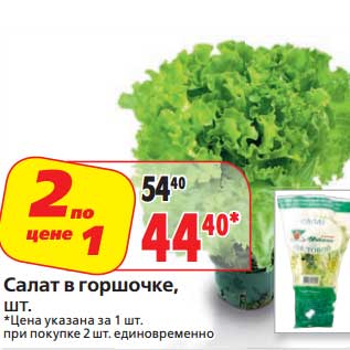 Акция - Салат в горшочке