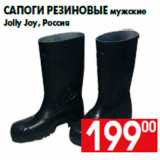 Магазин:Наш гипермаркет,Скидка:Сапоги резиновые мужские
Jolly Joy, Россия
