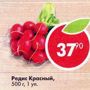Акция - Редис красный