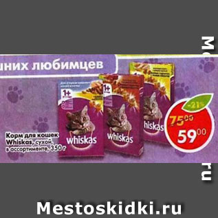 Акция - Корм для кошек Whiskas сухой