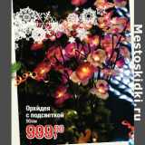 Магазин:Метро,Скидка:Орхидея
с подсветкой
90см
