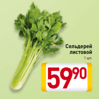 Акция - Сельдерей листовой 1 шт