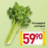 Магазин:Билла,Скидка:Сельдерей
листовой
