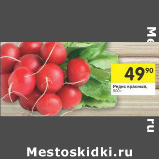 Акция - Редис красный