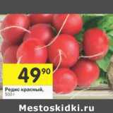 Магазин:Перекрёсток,Скидка:Редис красный 