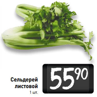 Акция - Сельдерей листовой