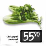 Магазин:Билла,Скидка:Сельдерей
листовой