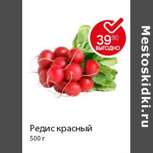 Акция - Редис красный