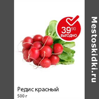 Акция - Редис красный