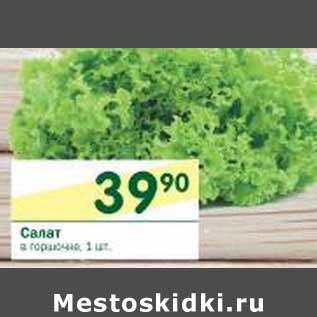 Акция - Салат