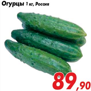 Акция - Огурцы 1 кг, Россия