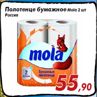 Акция - Полотенце бумажное Mola 2 шт Россия