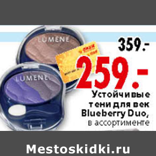 Акция - УСТОЙЧИВЫЕ ТЕНИ ДЛЯ ВЕК BLUEBERRY DUO