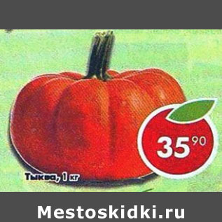 Акция - Тыква