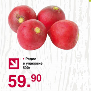 Акция - Редис в упаковке