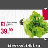 Магазин:Оливье,Скидка:салат листовой в горшочке