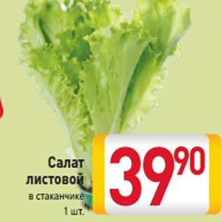 Акция - салат листовой в стаканчике